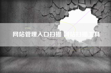 网站管理入口扫描 网站扫描工具