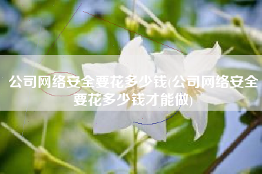 公司网络安全要花多少钱(公司网络安全要花多少钱才能做)