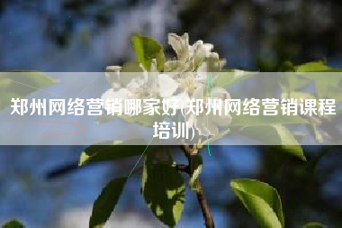 郑州网络营销哪家好(郑州网络营销课程培训)