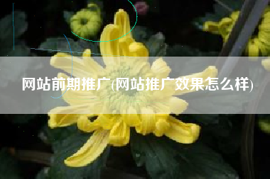 网站前期推广(网站推广效果怎么样)