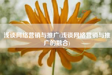 浅谈网络营销与推广(浅谈网络营销与推广的融合)