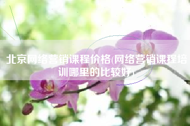 北京网络营销课程价格(网络营销课程培训哪里的比较好)