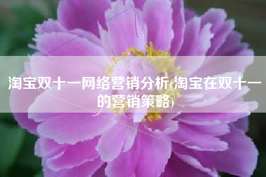 淘宝双十一网络营销分析(淘宝在双十一的营销策略)