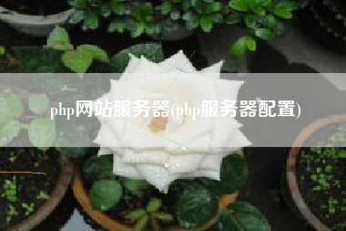 php网站服务器(php服务器配置)