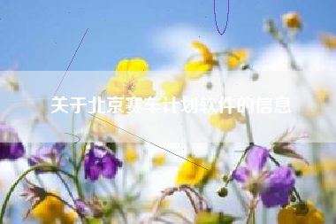关于北京赛车计划软件的信息