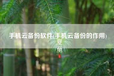 手机云备份软件(手机云备份的作用)