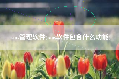 saas管理软件(saas软件包含什么功能)