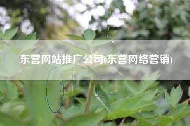 东营网站推广公司(东营网络营销)