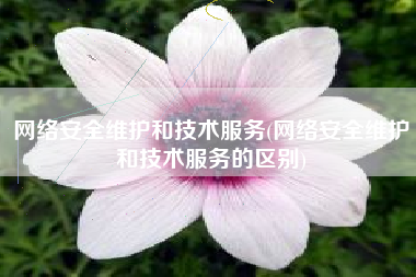 网络安全维护和技术服务(网络安全维护和技术服务的区别)