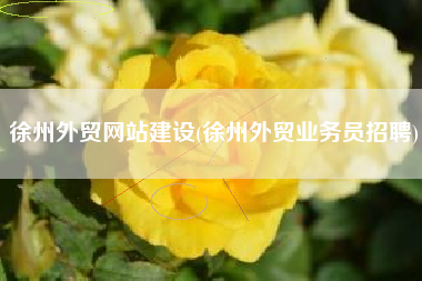 徐州外贸网站建设(徐州外贸业务员招聘)
