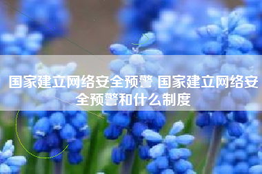 国家建立网络安全预警 国家建立网络安全预警和什么制度