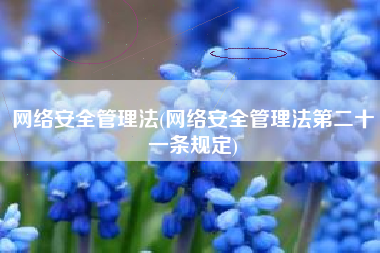 网络安全管理法(网络安全管理法第二十一条规定)