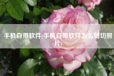 手机自带软件(手机自带软件怎么剪切照片)