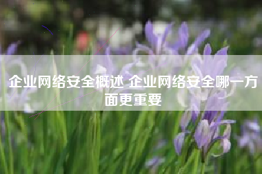 企业网络安全概述 企业网络安全哪一方面更重要
