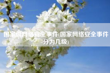 国家级网络安全事件(国家网络安全事件分为几级)