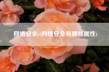 网络安全y(网络安全有哪些属性)