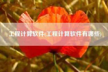 工程计算软件(工程计算软件有哪些)