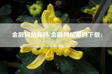 金融网站源码(金融网站源码下载)