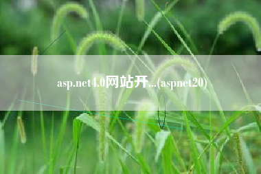asp.net4.0网站开...(aspnet20)