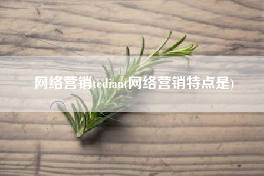 网络营销tedian(网络营销特点是)