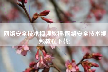 网络安全技术视频教程(网络安全技术视频教程下载)