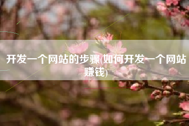 开发一个网站的步骤(如何开发一个网站赚钱)