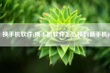 换手机软件(换手机软件怎么移到新手机)