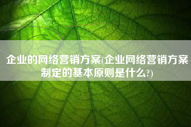 企业的网络营销方案(企业网络营销方案制定的基本原则是什么?)