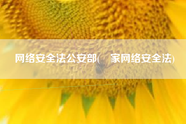 网络安全法公安部(囯家网络安全法)