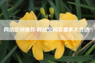 网站空间推荐(网站空间容量多大合适?)