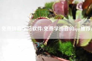 免费拼音学习软件(免费学拼音的app推荐)