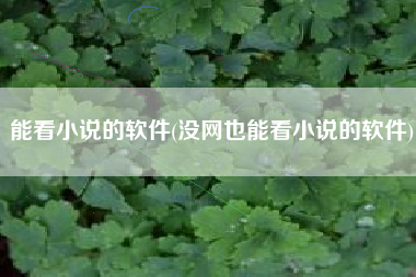 能看小说的软件(没网也能看小说的软件)