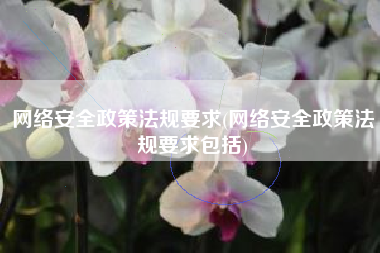 网络安全政策法规要求(网络安全政策法规要求包括)