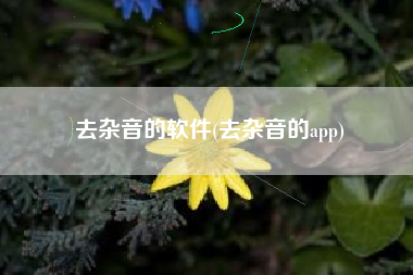 去杂音的软件(去杂音的app)