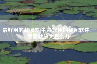 最好用的截图软件(最好用的截图软件,一截图就放大怎么办)