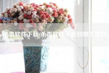 杀毒软件下载(杀毒软件下载到哪个盘好)
