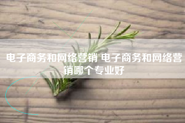电子商务和网络营销 电子商务和网络营销哪个专业好