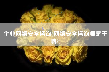 企业网络安全咨询(网络安全咨询师是干嘛?)