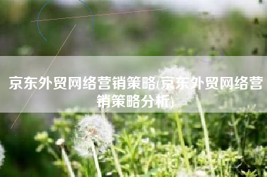 京东外贸网络营销策略(京东外贸网络营销策略分析)