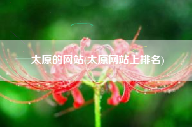 太原的网站(太原网站上排名)