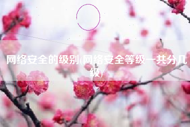 网络安全的级别(网络安全等级一共分几级)