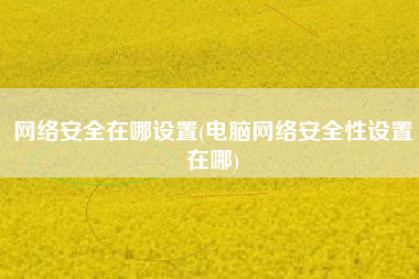 网络安全在哪设置(电脑网络安全性设置在哪)
