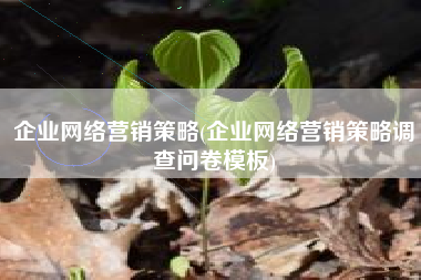 企业网络营销策略(企业网络营销策略调查问卷模板)
