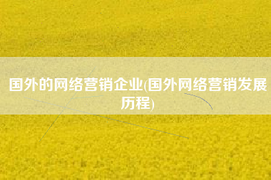 国外的网络营销企业(国外网络营销发展历程)
