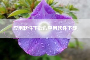 应用软件下载(tv应用软件下载)