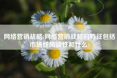 网络营销战略(网络营销战略的特征包括市场性风险性和什么)