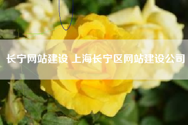 长宁网站建设 上海长宁区网站建设公司