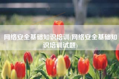 网络安全基础知识培训(网络安全基础知识培训试题)