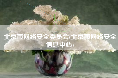 北京市网络安全委员会(北京市网络安全信息中心)