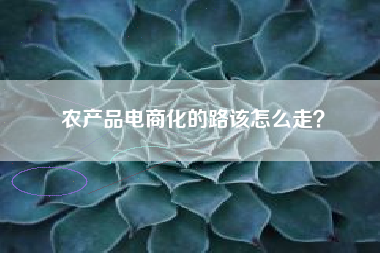 农产品电商化的路该怎么走？